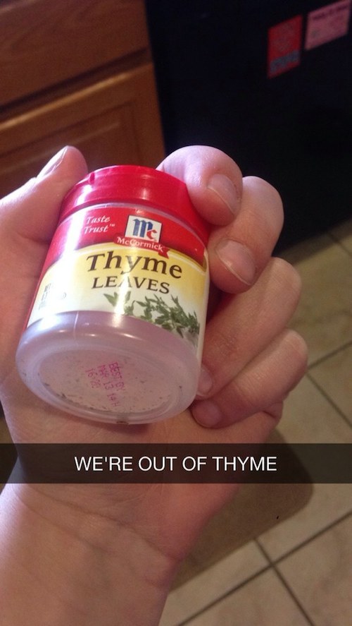 funny snapchat puns - Taste McCormick Thyme LeIves We'Re Out Of Thyme,