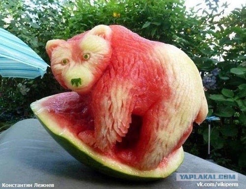 watermelon bear