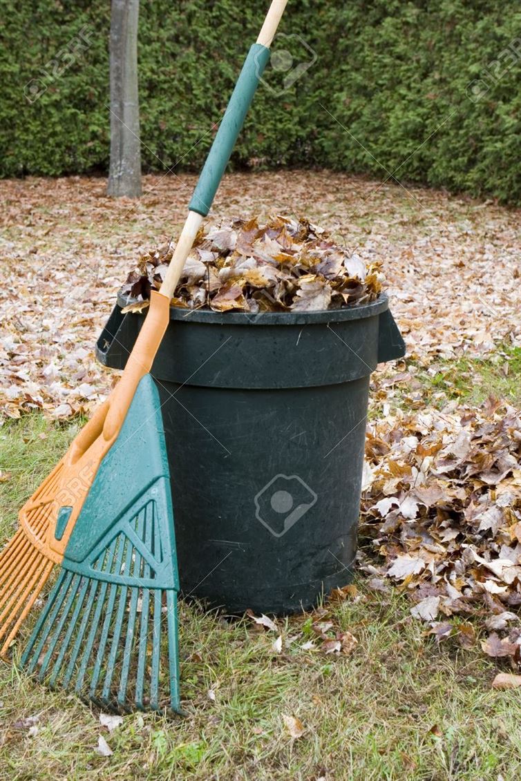 Fall is their least favorite season. 
Garbage collectors have to deal with weight in highly multiplied volumes when autumn rolls around because wet leaves increase their burden significantly.