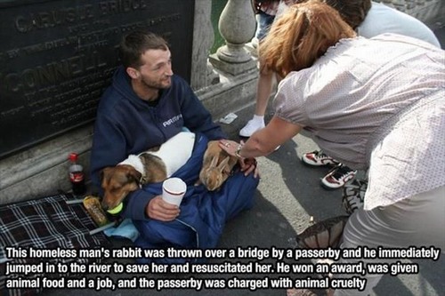 Faith In Humanity Restored (Animals Edition)