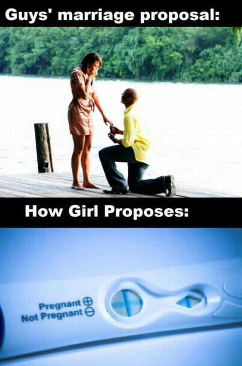 propose funny quotes - Guys' marriage proposal How Girl Proposes Pregnant Not Pregnante