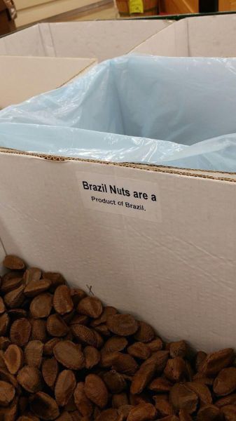 signs humans are getting dumber signs - Brazil Nuts are a Product of Brazil.
