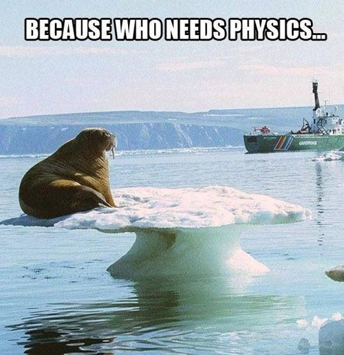 Who Needs Physics?