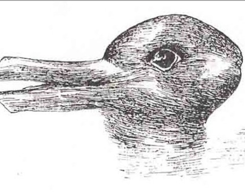 Duck or rabbit?