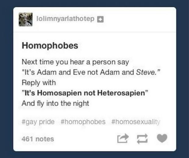 17 Times Queer Tumblr Won At Life