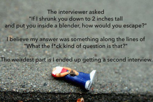 Absolutely Bizarre Interview Questions