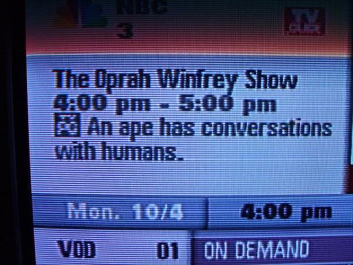 black yellow brown or normal - The Oprah Winfrey Show An ape has conversations with humans. 01 On Demand
