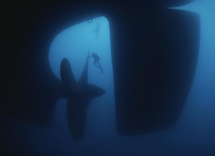 The ocean floor doesn't just house creepy animals, but also some human waste. There's just something super creepy about investigating a giant abandoned submarine.