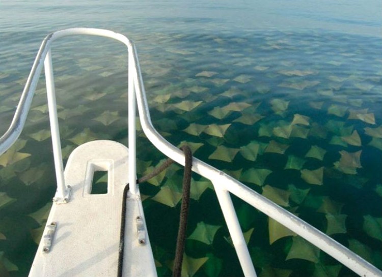 Pictures That Prove You Have Thalassophobia