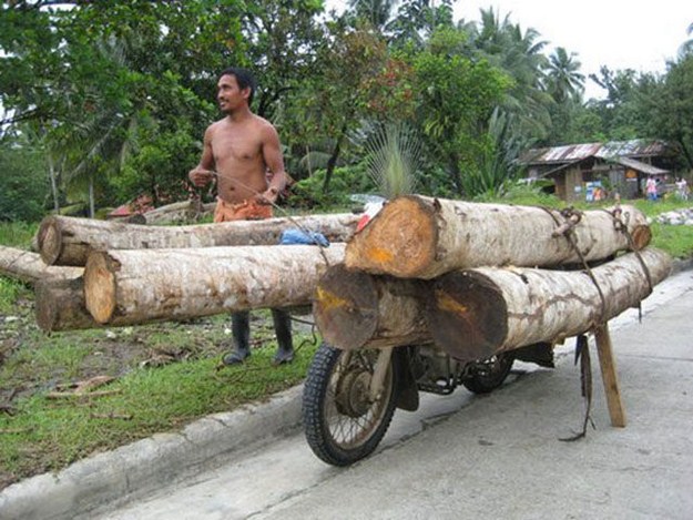 Who Says Motorcycles Are Only For Transporting Humans?
