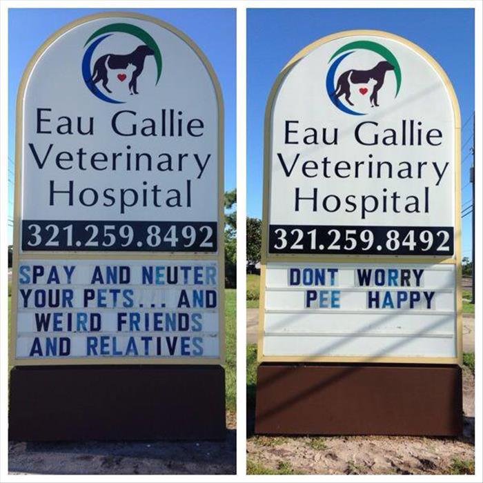 This Veterinarian Is Hilarious!