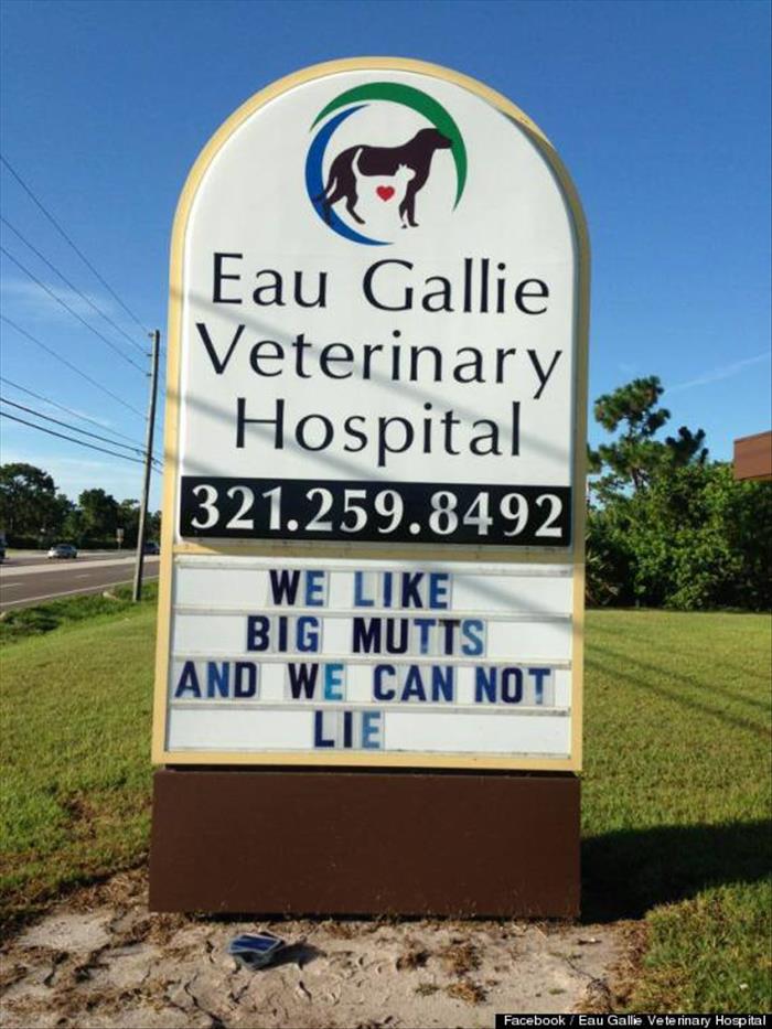 This Veterinarian Is Hilarious!