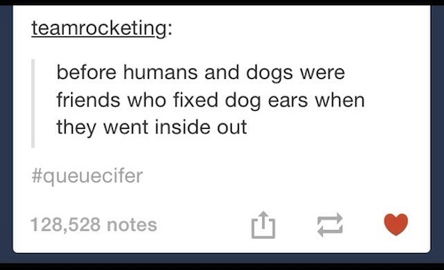diagram - teamrocketing before humans and dogs were friends who fixed dog ears when they went inside out 128,528 notes