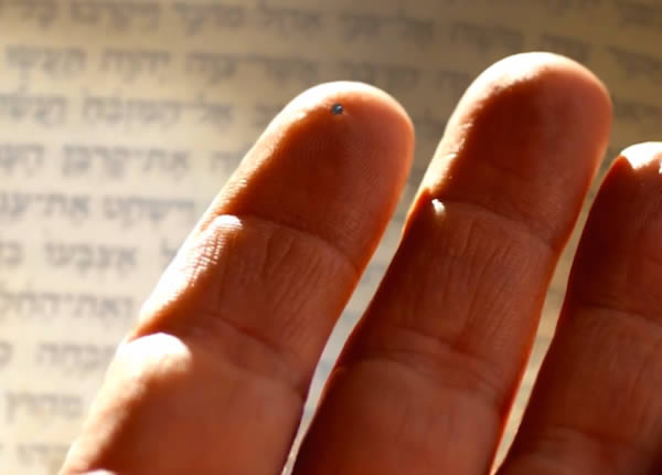The Smallest Bible in the World:
You can't really read it, but that's not the point. Researchers at the Russell Berrie The Nanotechnology Institute in Israel engraved the Hebrew Bible on a chip the size of a grain of sugar in order to demonstrate the scale that they work in.
The Nano Bible is written on an ultra thin silicon wafer coated in a layer of gold that is less than 100 atoms thick. To engrave the Hebrew letters, the researchers used a focused ion beam to carve away just the gold layer.