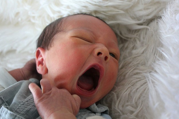 On average, a human will yawn about 250,000 times in their life.