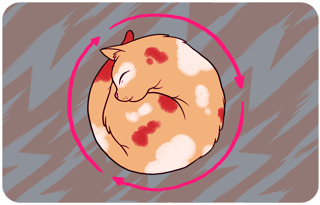 Sleeping in a Perfect Circle:
“Experts” say: Sleeping in a circle conserves body heat. The truth: Time is cyclical, and nobody understands this better than cats. When your cat sleeps in a circle, it’s a sign that this world is ending and giving way to a greater, more terrifying universe.