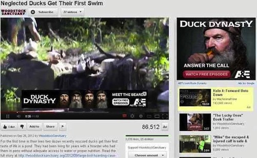 youtube ad funny ad youtube - Neglected Ducks Get Their First Swim Propistosk sure Duck Dynasty Answer The Call Watch Free Episodes Ae Meet The Bears Duvaky Ste Chas Hola & Forward Da Episode To Iwi "The Lucky Ones Bpel Taller Apa 86.512 Mike the escaped 