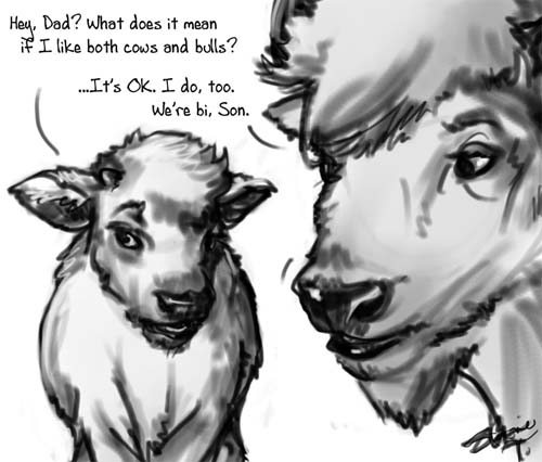 dad jokes - buffalo dad joke - Hey, Dad? What does it mean if I both cows and bulls ? ...It's Ok. I do, too. We're bi, Son.