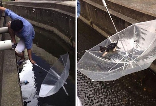 30 Acts Of Kindness That Will Restore Your Faith in Humanity