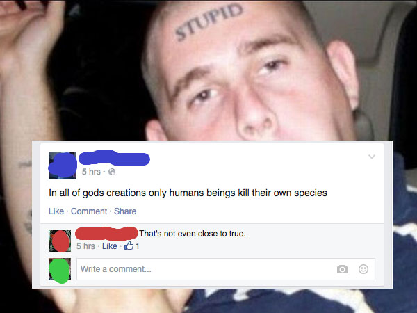 men doing stupid things meme - Stupid 5 hrs. In all of gods creations only humans beings kill their own species Comment That's not even close to true. 5 hrs 01 Write a comment...