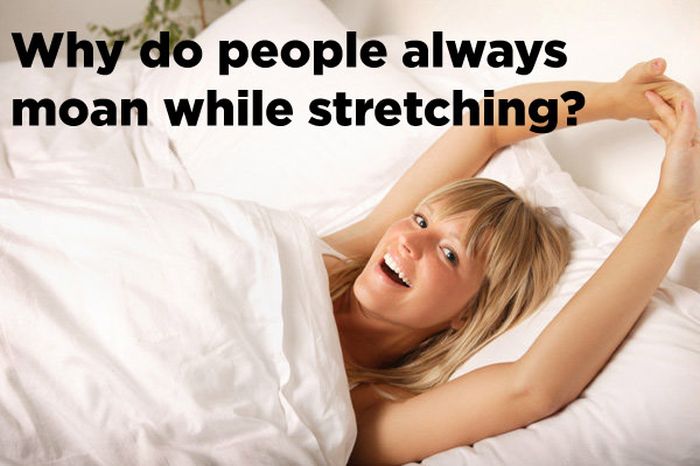 blond - Why do people always moan while stretching?