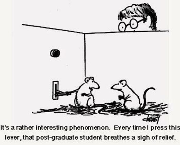psychology is a science - It's a rather interesting phenomenon. Every timel press this lever, that postgraduate student breathes a sigh of relief.