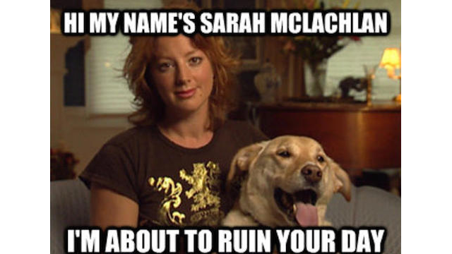 That Stupid Commercial With Sarah McLachlan And The Dogs