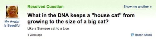 19 of the Craziest Yahoo! Answers Questions About Science