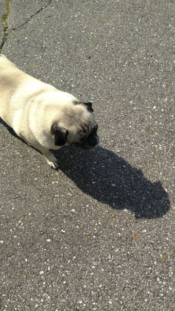 14 Innocent Picures Of Shadows That Look Absolutely Dirty
