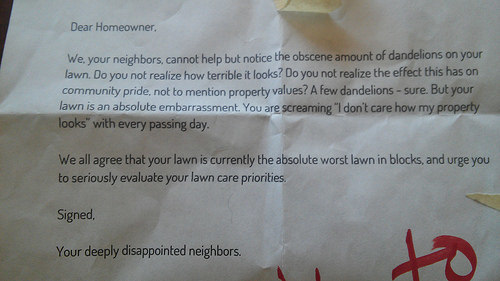 paper - Dear Homeowner. We, your neighbors, cannot help but notice the obscene amount of dandelions on your lawn. Do you not realize how terrible it looks? Do you not realize the effect this has on community pride, not to mention property values? A few da