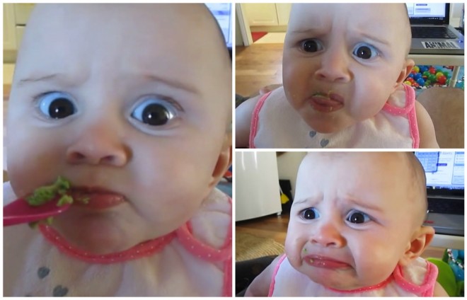 Cute baby is tasting the avocado for the first time.