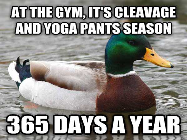 mean jokes memes - At The Gym, It'S Cleavage And Yoga Pants Season 365 Days A Year