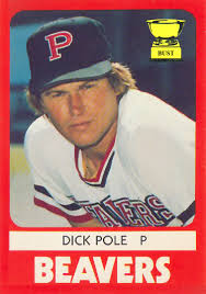 dick pole - Dick Pole P Beavers