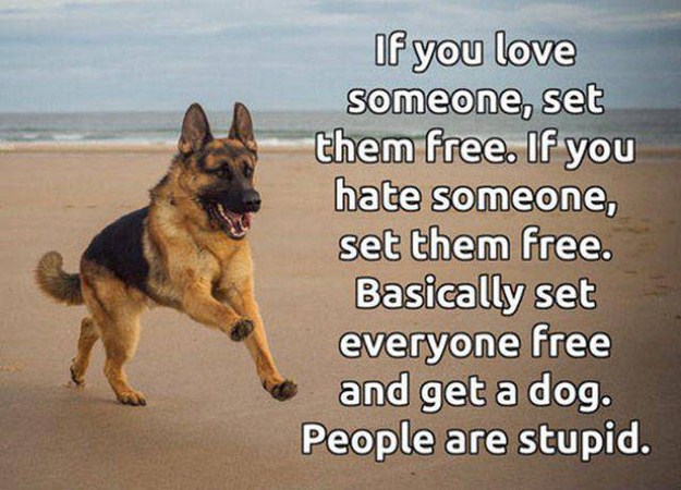 if you love someone set them free get a dog - If you love someone, set them free. If you hate someone, set them free. Basically set everyone free and get a dog. People are stupid.