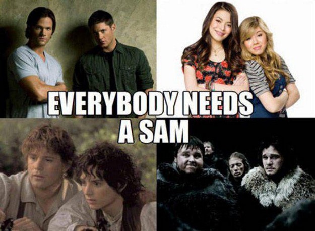 everybody needs sam - Everybody Needs A Sam