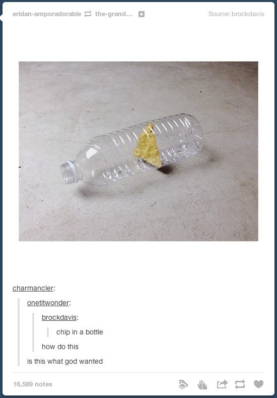 tumblr  - funny tumblr stories - eridanamporadorable thegrand... Source brockdavis charmancler onetitwonder brockdavis chip in a bottle how do this is this what god wanted 16,589 notes