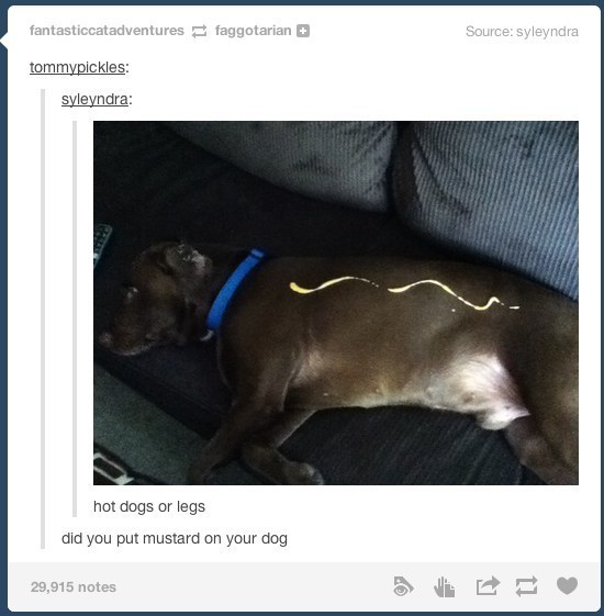 18 Funniest Moments in Tumblr History