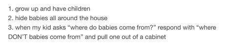 tumblr - angle - 1. grow up and have children 2. hide babies all around the house 3. when my kid asks "where do babies come from?" respond with "where Don'T babies come from" and pull one out of a cabinet