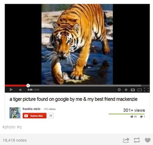 youtube tiger picture found on google by me - Oooo a tiger picture found on google by me & my best friend mackenzie frankie stein 110 videos Subscribe 301 views 18,418 notes