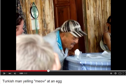 youtube turkish man yelling meow at an egg meme - 000000 Turkish man yelling "meow" at an egg