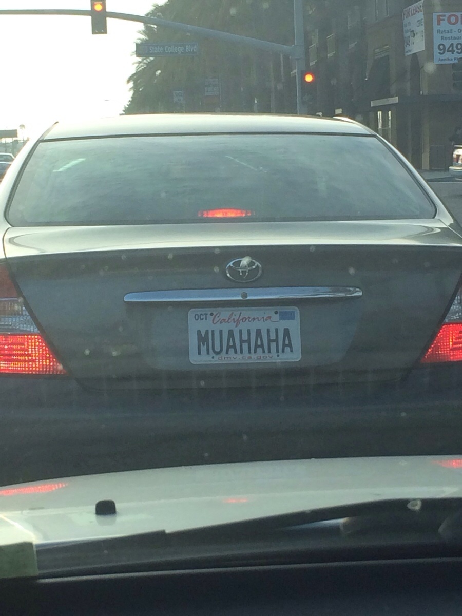 21 Witty License Plates