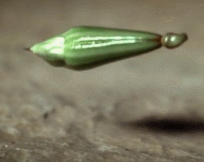 Science Gifs