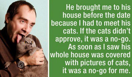 stories that will make you laugh - He brought me to his house before the date because I had to meet his cats. If the cats didn't approve, it was a nogo. As soon as I saw his whole house was covered with pictures of cats, it was a nogo for me.