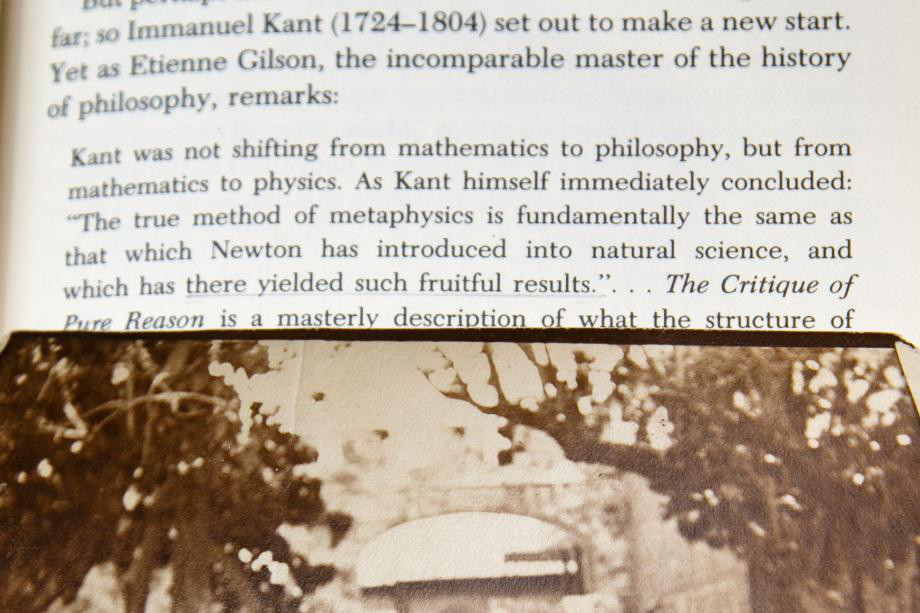 one tree becomes three mesa az - far so Immanuel Kant 17241804 set out to make a new start. Yet as Etienne Gilson, the incomparable master of the history of philosophy, remarks Kant was not shifting from mathematics to philosophy, but from mathematics to 