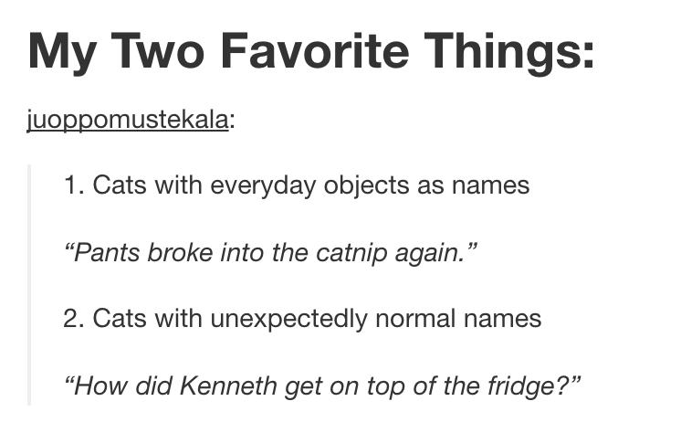 tumblr - pet names - My Two Favorite Things juoppomustekala 1. Cats with everyday objects as names "Pants broke into the catnip again. 2. Cats with unexpectedly normal names "How did Kenneth get on top of the fridge?