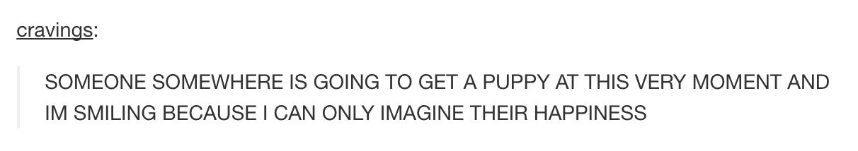 tumblr - cravings Someone Somewhere Is Going To Get A Puppy At This Very Moment And Im Smiling Because I Can Only Imagine Their Happiness