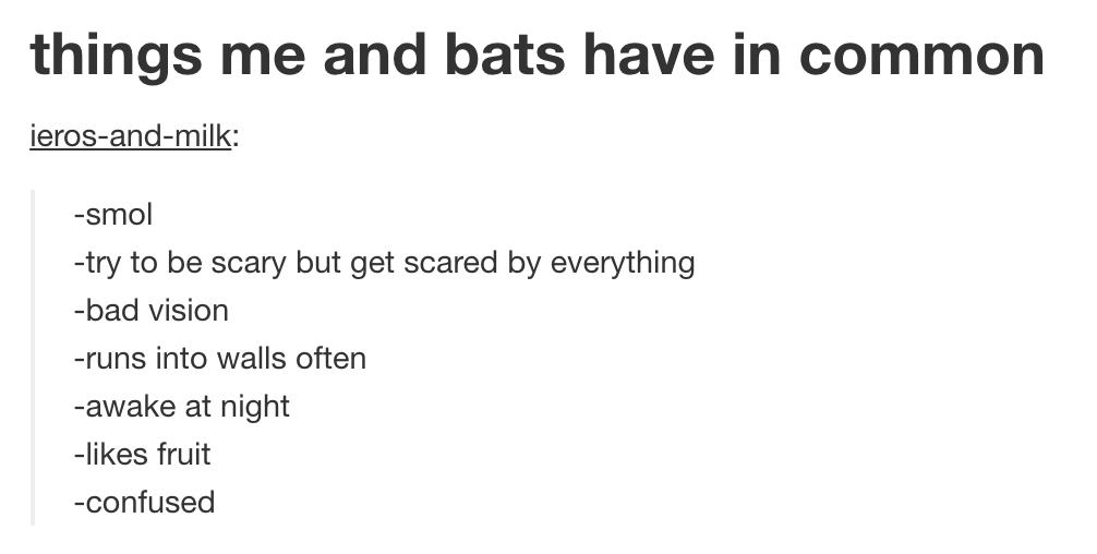 tumblr - angle - things me and bats have in common ierosandmilk smol try to be scary but get scared by everything bad vision runs into walls often awake at night fruit confused