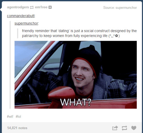 tumblr - breaking bad jesse season 1 - agentrodgers emfree Source supermunchor commanderabutt supermunchor friendly reminder that dating' is just a social construct designed by the patriarchy to keep women from fully experiencing life ^_^ What? 54,821 not
