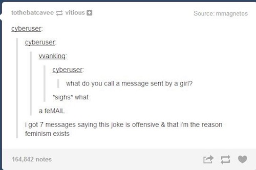 tumblr - offended puns - tothebatcaveevitious Source mmagnetos cyberuser cyberuser vanking cyberuser what do you call a message sent by a girl? sighs what a feMAIL i got 7 messages saying this joke is offensive & that i'm the reason feminism exists 164,84