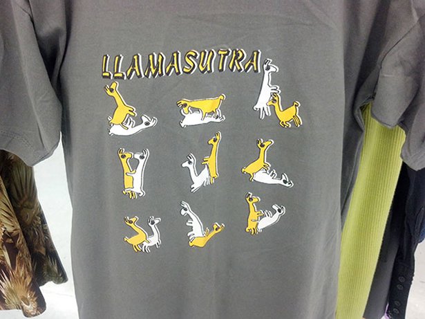 32 Ridiculous Things Found at a Thrift Store